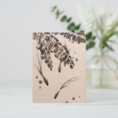 三匹の小魚 ポストカード (スタンド正面)