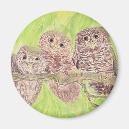 三匹の怒ったフクロウ - アクリル絵画。 マグネット