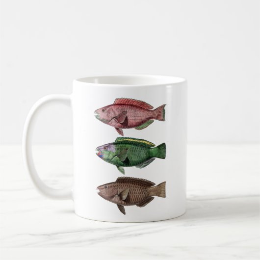 三匹の魚、オウム魚のマグ コーヒーマグカップ (左)