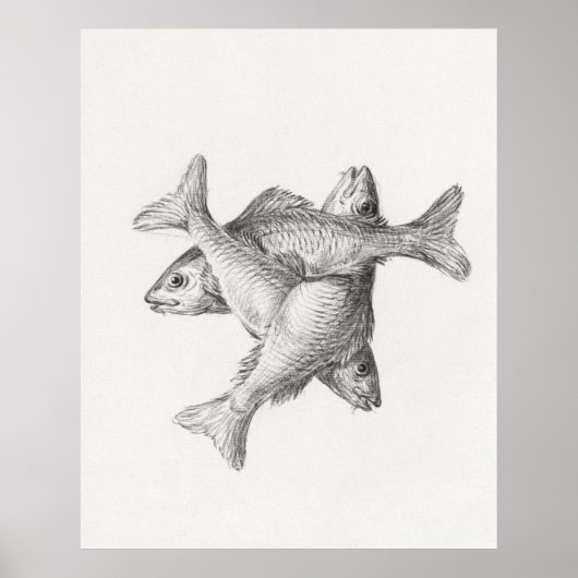 三匹の魚 ポスター (正面)