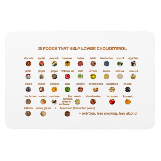 三十五コレステロ救済ールを自然に下げる食品 マグネット (横)