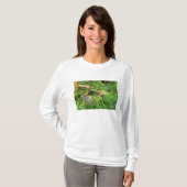三千院の春の茶会 Tシャツ (正面フル)