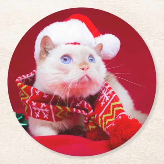 三叉の矛猫のコースター ラウンドペーパーコースター (正面)