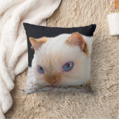 三叉の矛猫の装飾用クッション クッション (ブランケット)