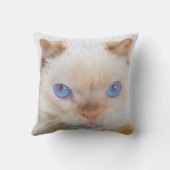 三叉の矛猫の装飾用クッション クッション (裏面)