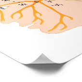 三叉神経ポスター ポスター (角)