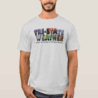 三国から成ったロゴのTシャツ Tシャツ