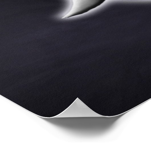 三女神 ポスター (角)