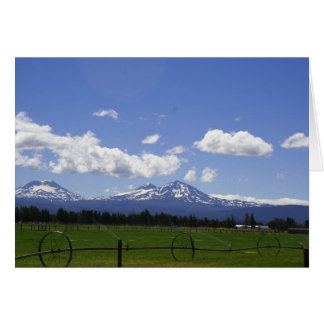 三姉妹は水が必要だった