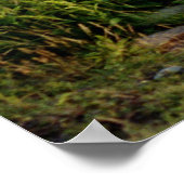 三姉妹 ポスター (角)