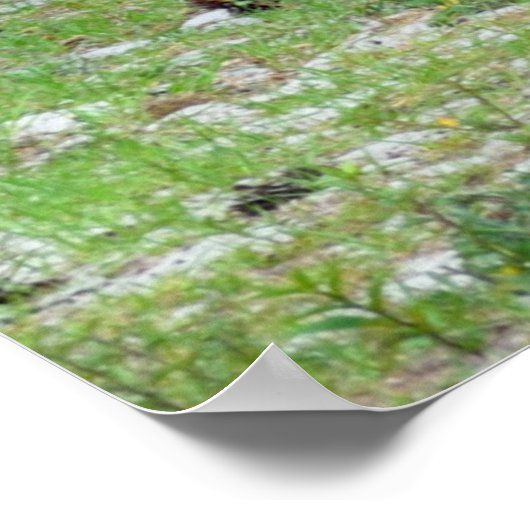 三威厳のある頭 ポスター (角)