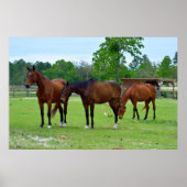 三威厳のある頭 ポスター (正面)