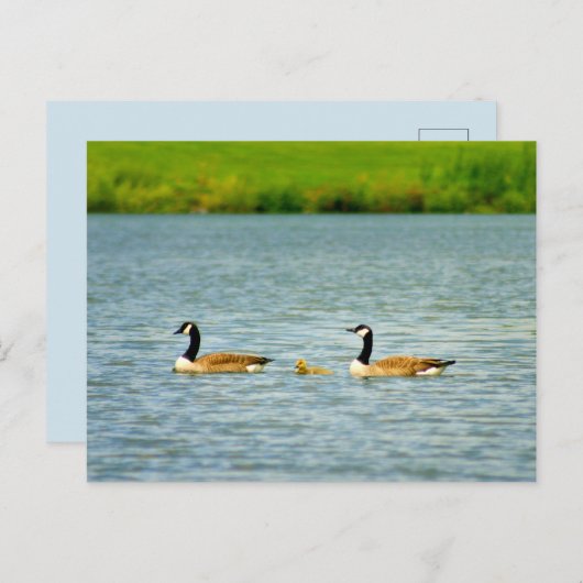 三家 ポストカード (正面/裏面)