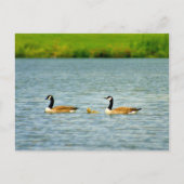 三家 ポストカード (正面)