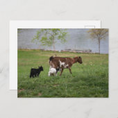 三山羊 ポストカード (正面/裏面)