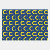 三日月の夜の空の星夕べ天文学 ラッピングペーパーシート (正面3)