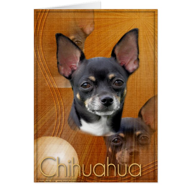 三日月形の月-イザベラ (正面)