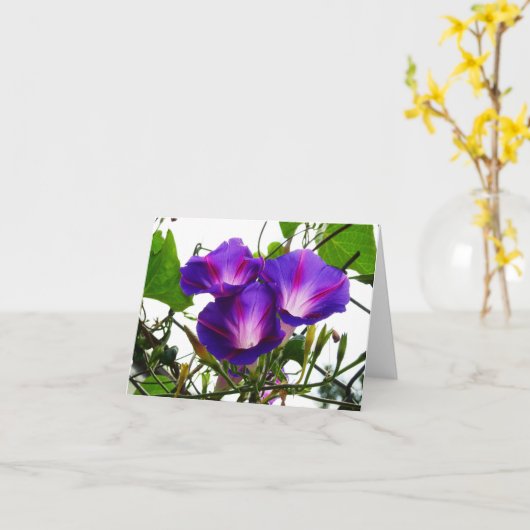 三朝顔 カード (黄色い花)