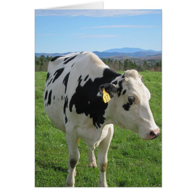 三本足の牛5x7 (正面)