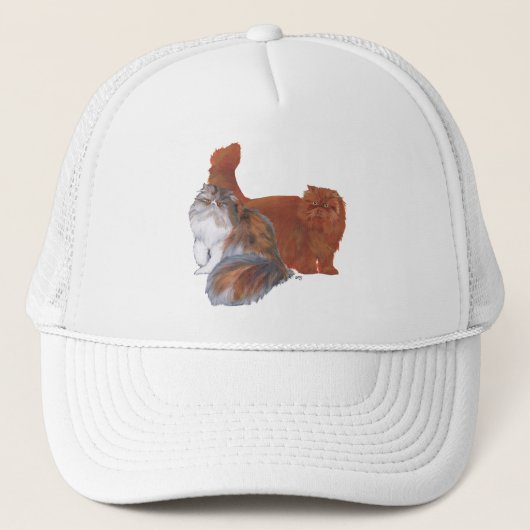 三毛のペルシャ猫と赤毛の長毛種の猫 キャップ (正面)