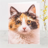 三毛猫かわいい猫誕生日グリーティングカード カード (黄色い花)