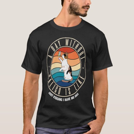 三毛猫がいない日なんて Tシャツ (正面)