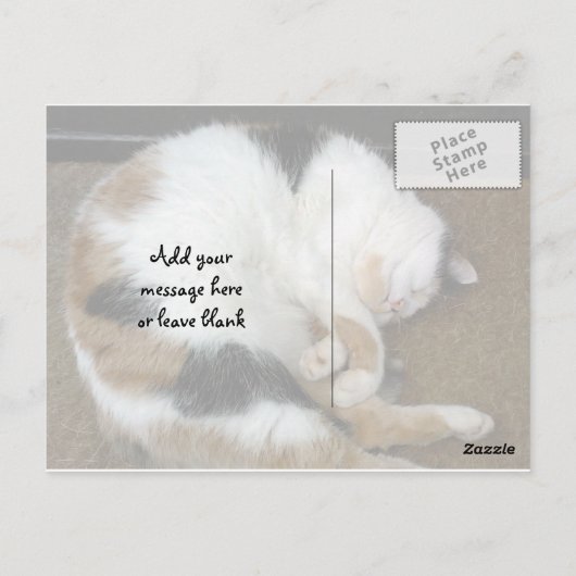 三毛猫が丸まって丸まった ポストカード (裏面)