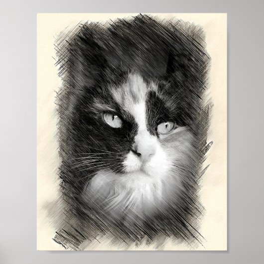 三毛猫のスケッチアート - 猫の肖像画 ポスター (正面)