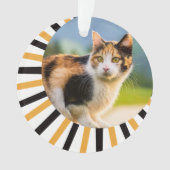 三毛猫の初めてのクリスマス オーナメント (正面)