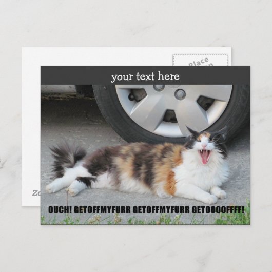 三毛猫の悲鳴を上げて、私の毛皮から離れる ポストカード (正面/裏面)