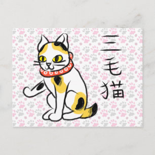 三毛猫の日本語書道ポストカード シーズンポストカード