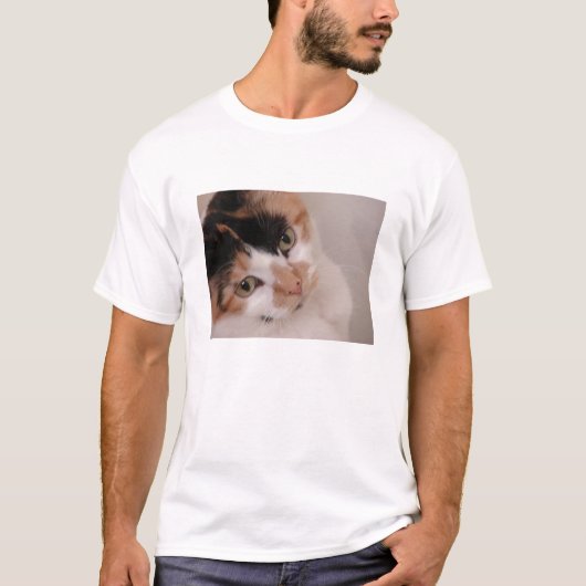 三毛猫の美人 Tシャツ (正面)
