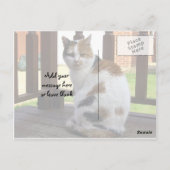 三毛猫は野外で寝そべっていた ポストカード (裏面)