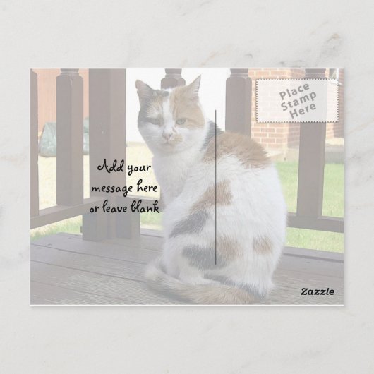 三毛猫は野外で寝そべっていた ポストカード (裏面)