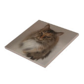 三毛猫セラミックタイル タイル (側面)