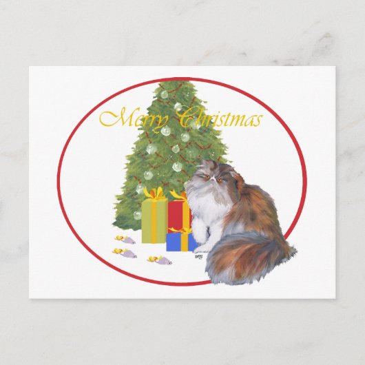 三毛猫ペルシャ猫 クリスマス (正面)