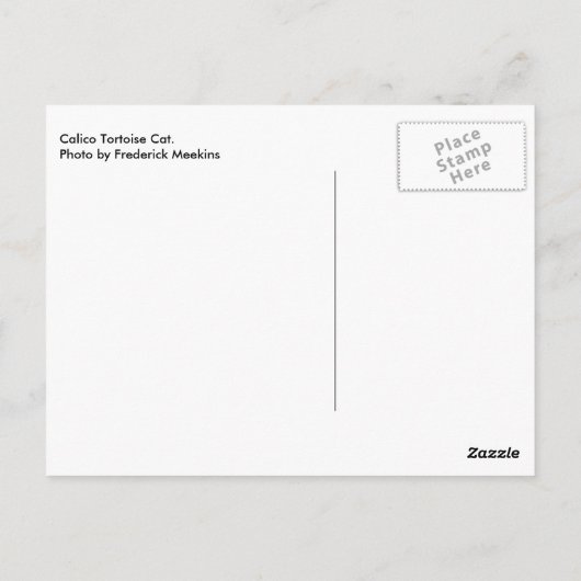 三毛猫 ポストカード (裏面)