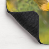 三毛類のイエロースロート)男性， マウスパッド (コーナー)