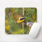 三毛類のイエロースロート)男性， マウスパッド (マウス)