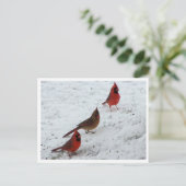 三深紅色 ポストカード (スタンド正面)