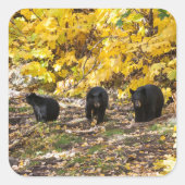 三熊 スクエアシール (正面)