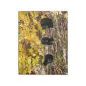 三熊 ノートパッド (回転)