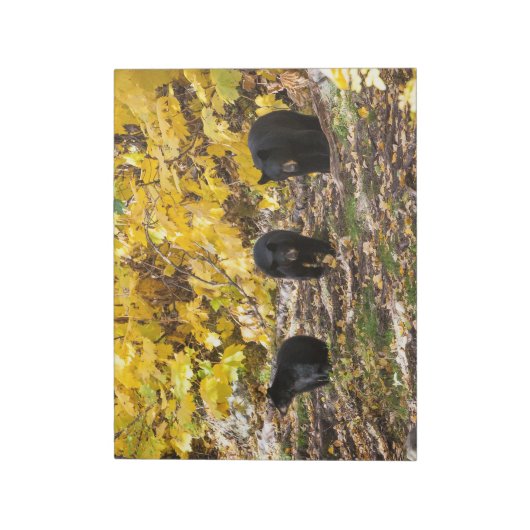 三熊 ノートパッド (回転)