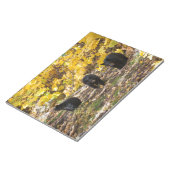 三熊 ノートパッド (アングル)