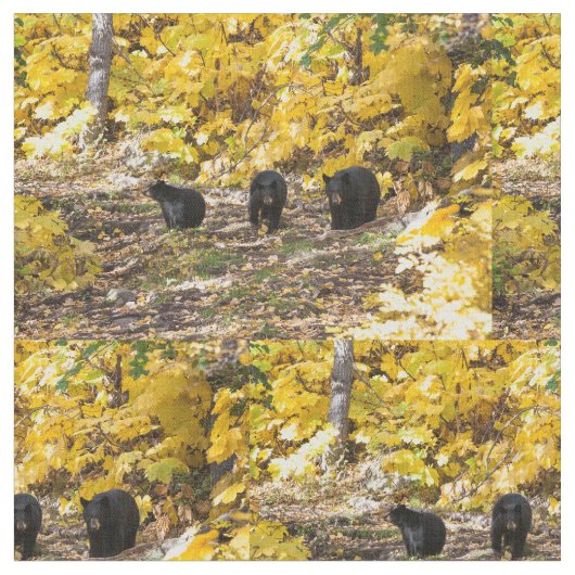 三熊 ファブリック (クローズアップ)