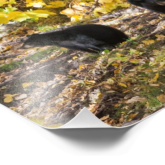 三熊 フォトプリント (角)