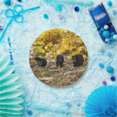 三熊 ペーパープレート (パーティー)