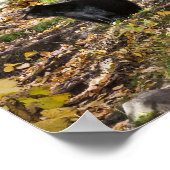 三熊 ポスター (角)