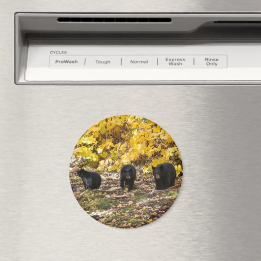 三熊 マグネット (インサイチュ (食洗機))