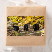 三熊 ラベル (インサイチュ)